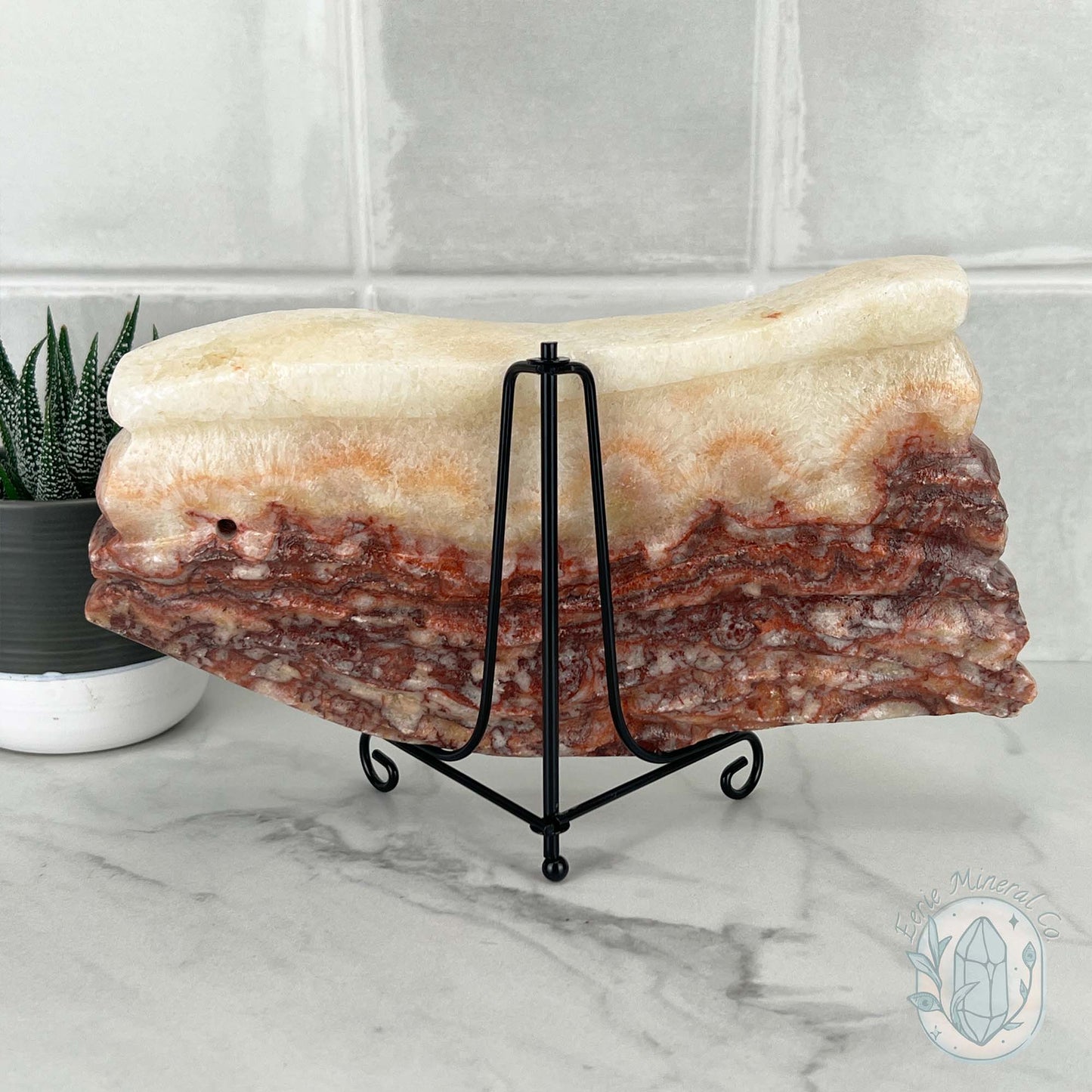 Polished Pork Stone (Red Banded Calcite) Specimen Slab