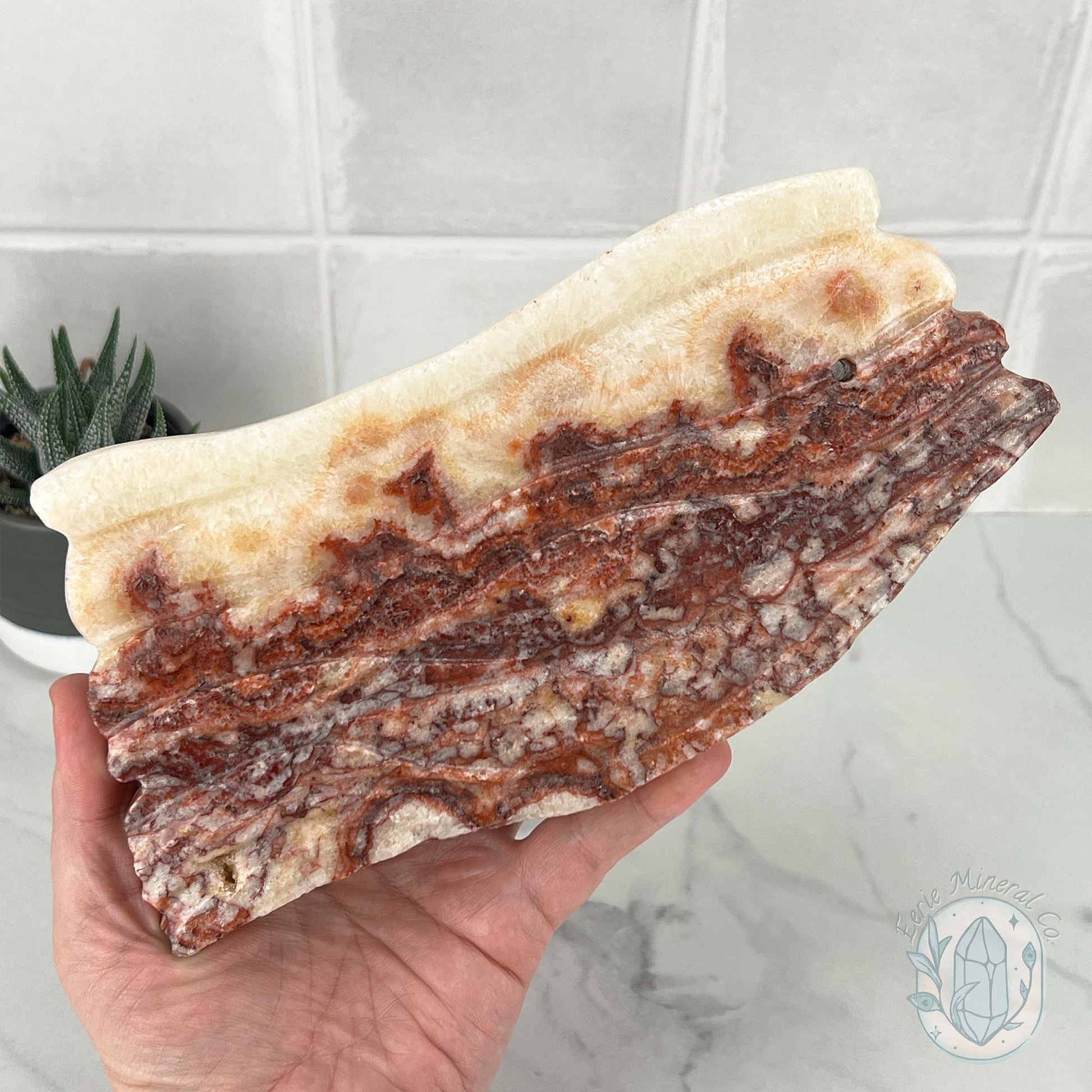 Polished Pork Stone (Red Banded Calcite) Specimen Slab