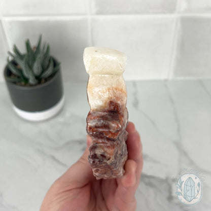Polished Pork Stone (Red Banded Calcite) Specimen Slab