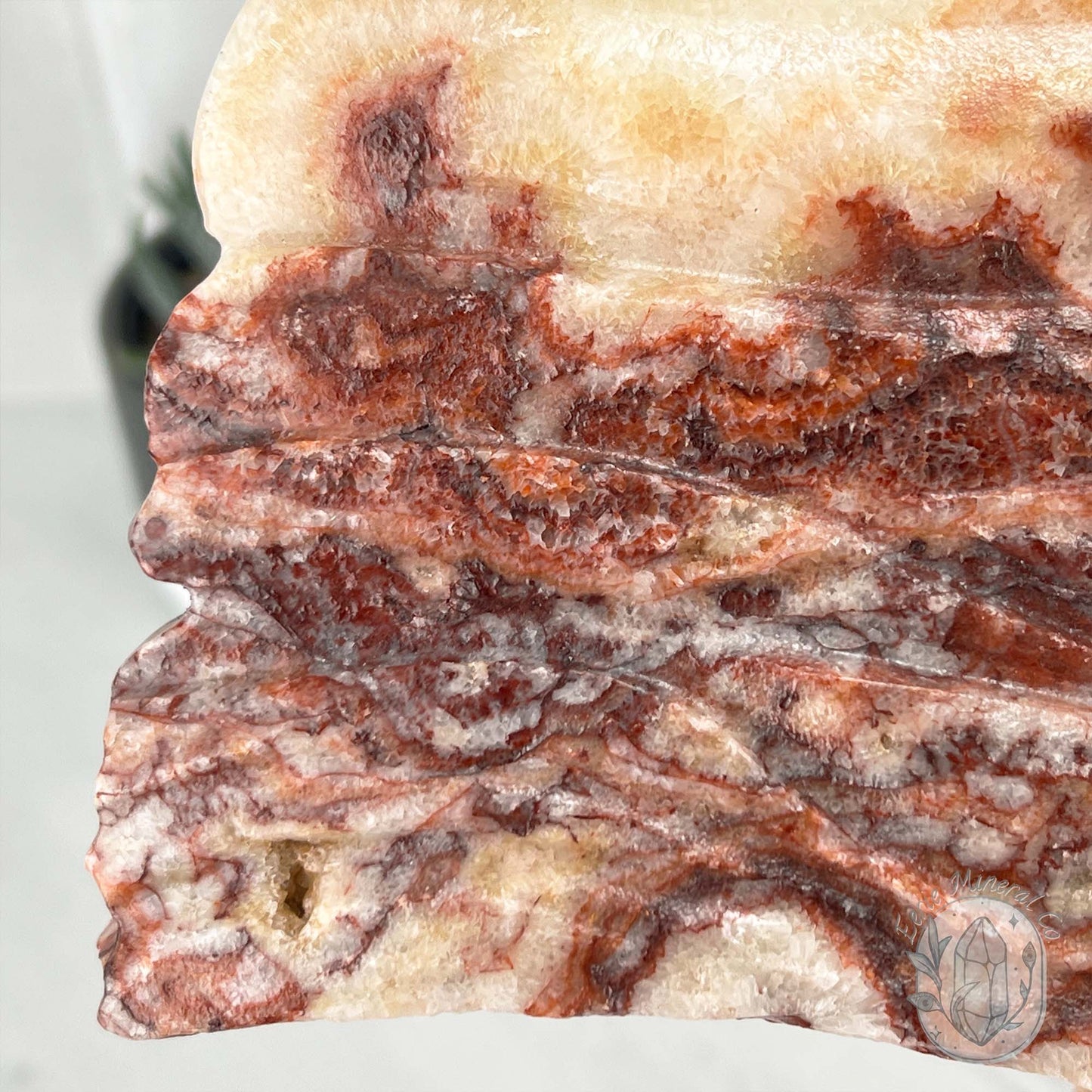 Polished Pork Stone (Red Banded Calcite) Specimen Slab