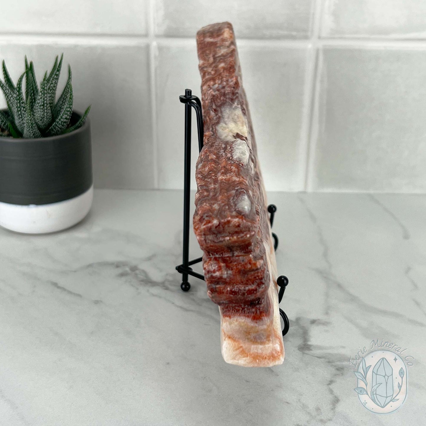 Polished Pork Stone (Red Banded Calcite) Specimen Slab