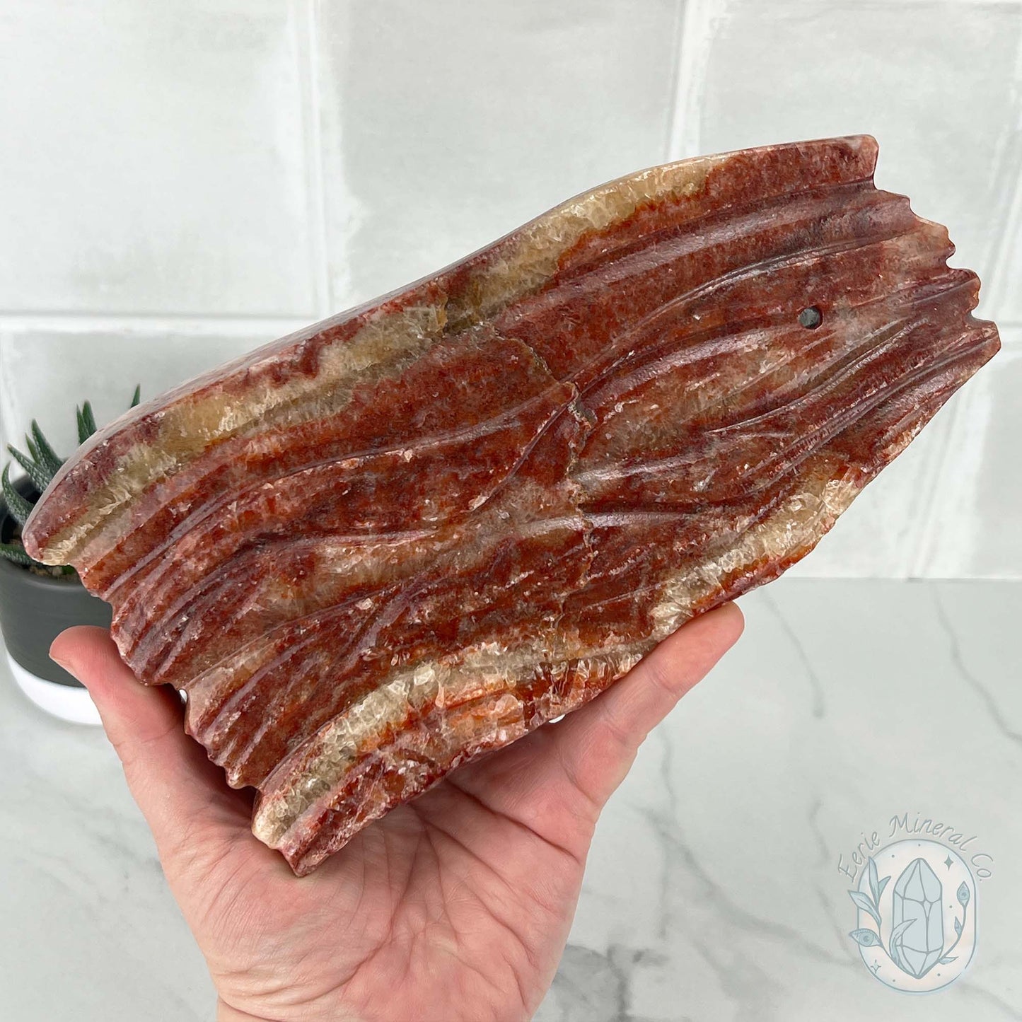 Polished Pork Stone (Red Banded Calcite) Specimen Slab
