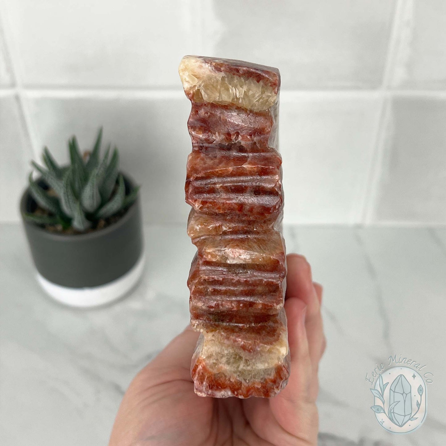 Polished Pork Stone (Red Banded Calcite) Specimen Slab
