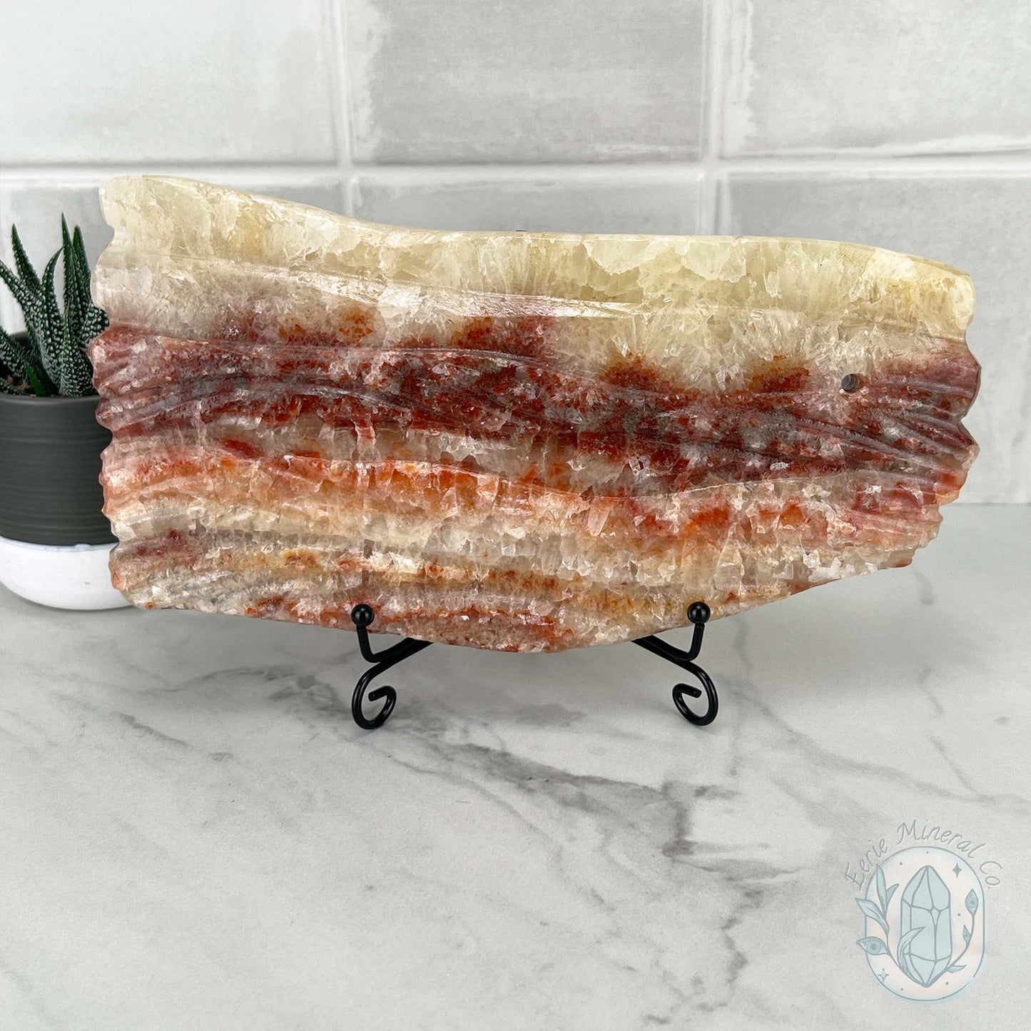 Polished Pork Stone (Red Banded Calcite) Specimen Slab