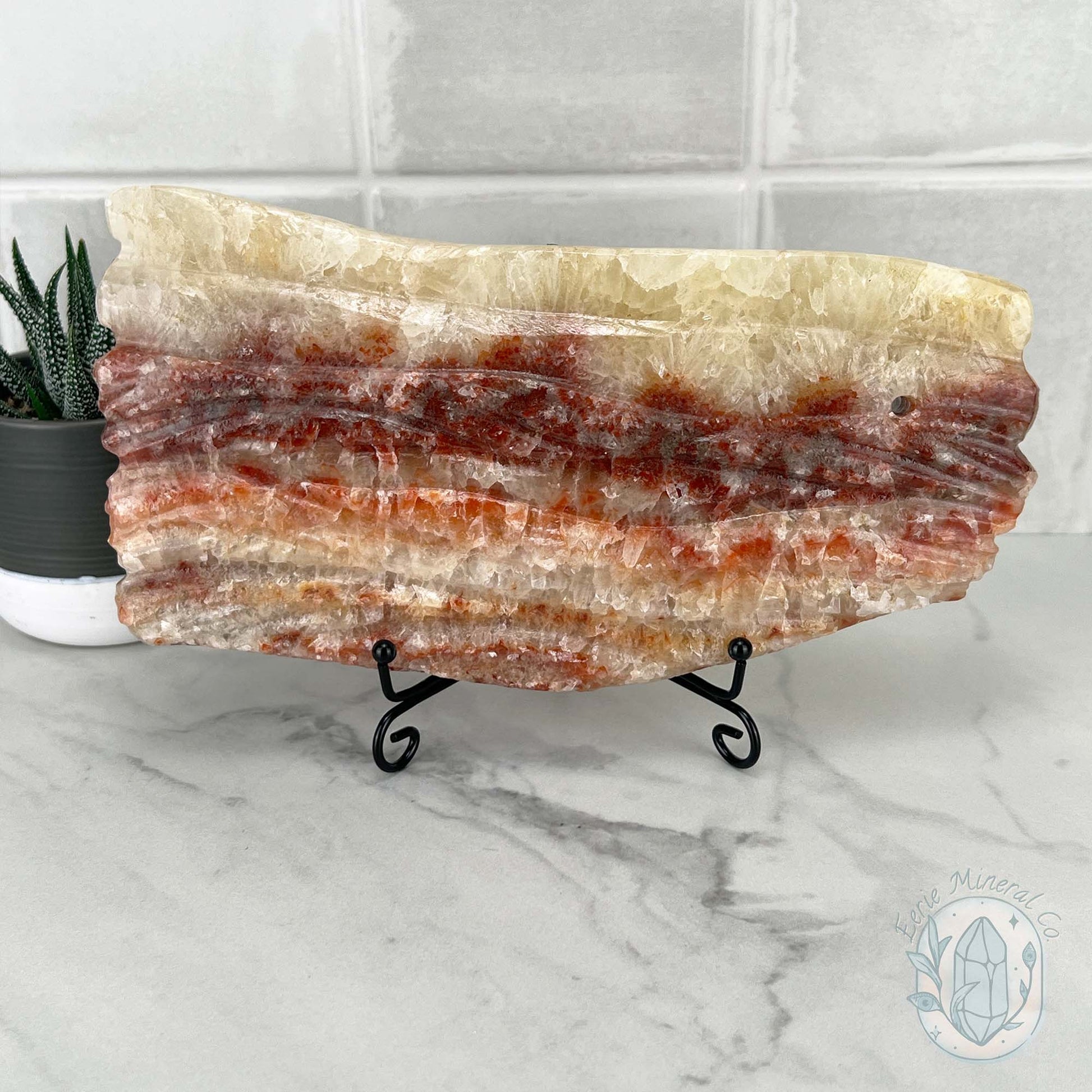 Polished Pork Stone (Red Banded Calcite) Specimen Slab