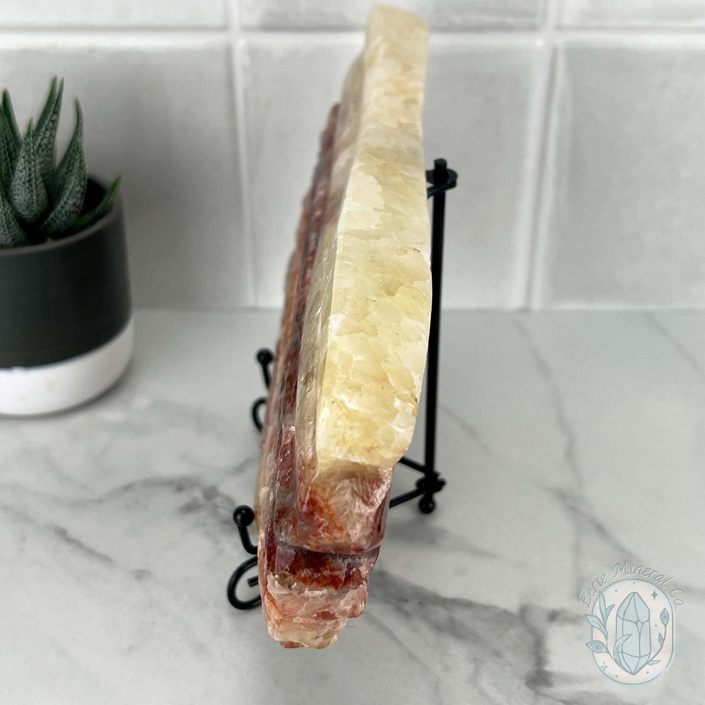 Polished Pork Stone (Red Banded Calcite) Specimen Slab