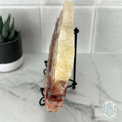 Polished Pork Stone (Red Banded Calcite) Specimen Slab
