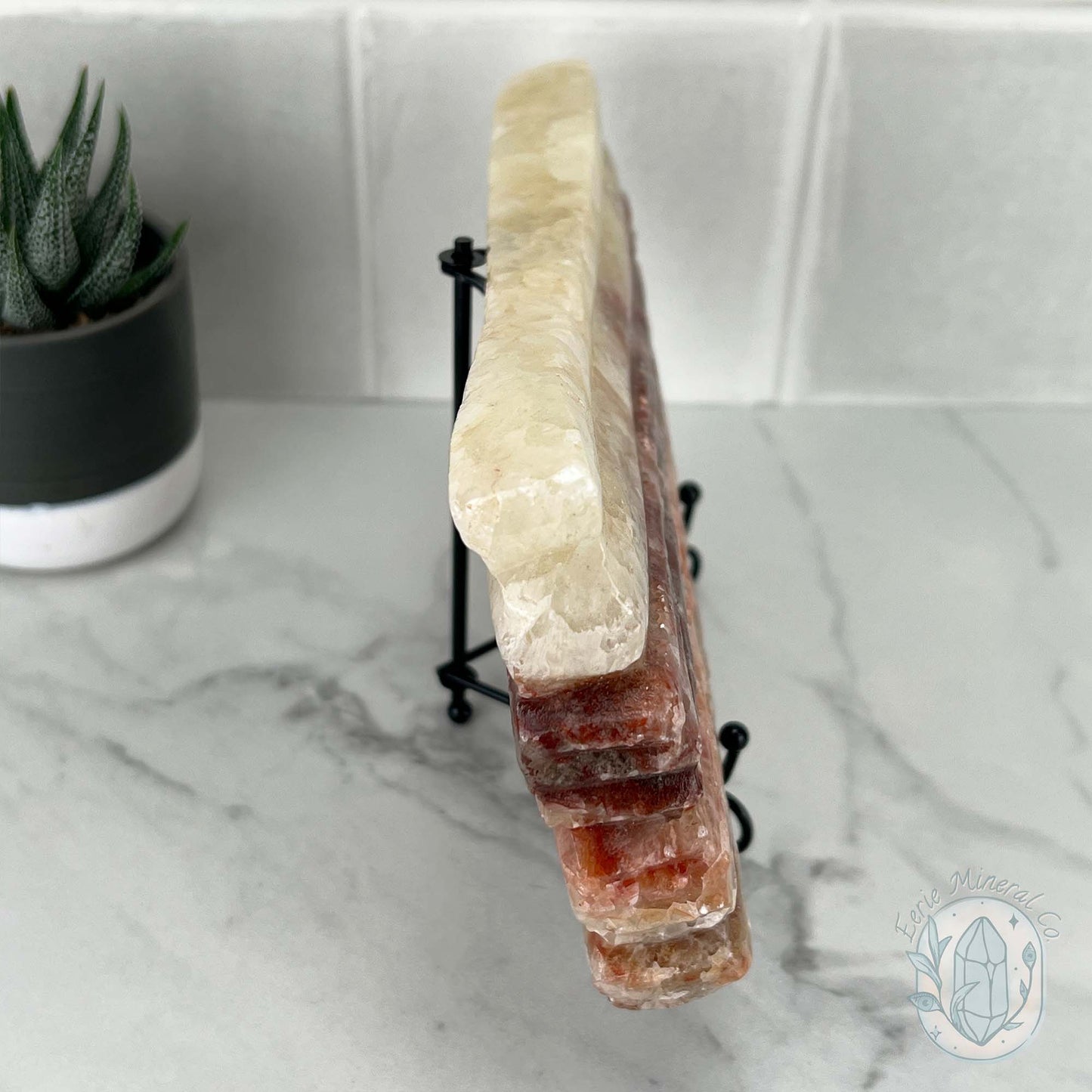 Polished Pork Stone (Red Banded Calcite) Specimen Slab