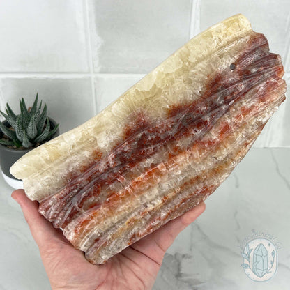 Polished Pork Stone (Red Banded Calcite) Specimen Slab