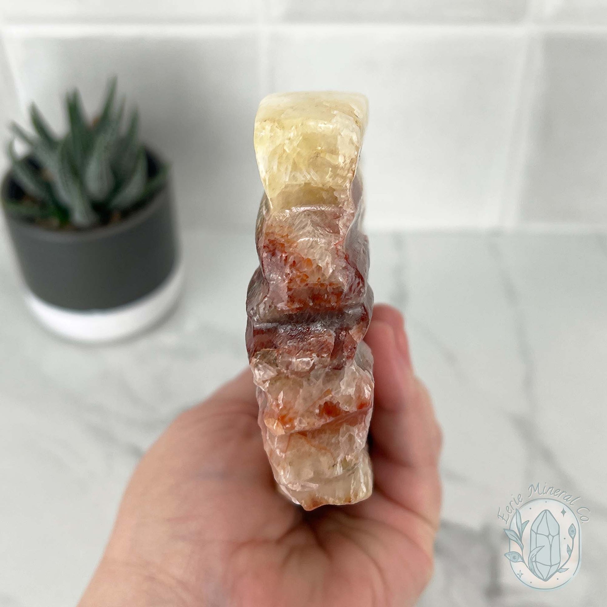 Polished Pork Stone (Red Banded Calcite) Specimen Slab