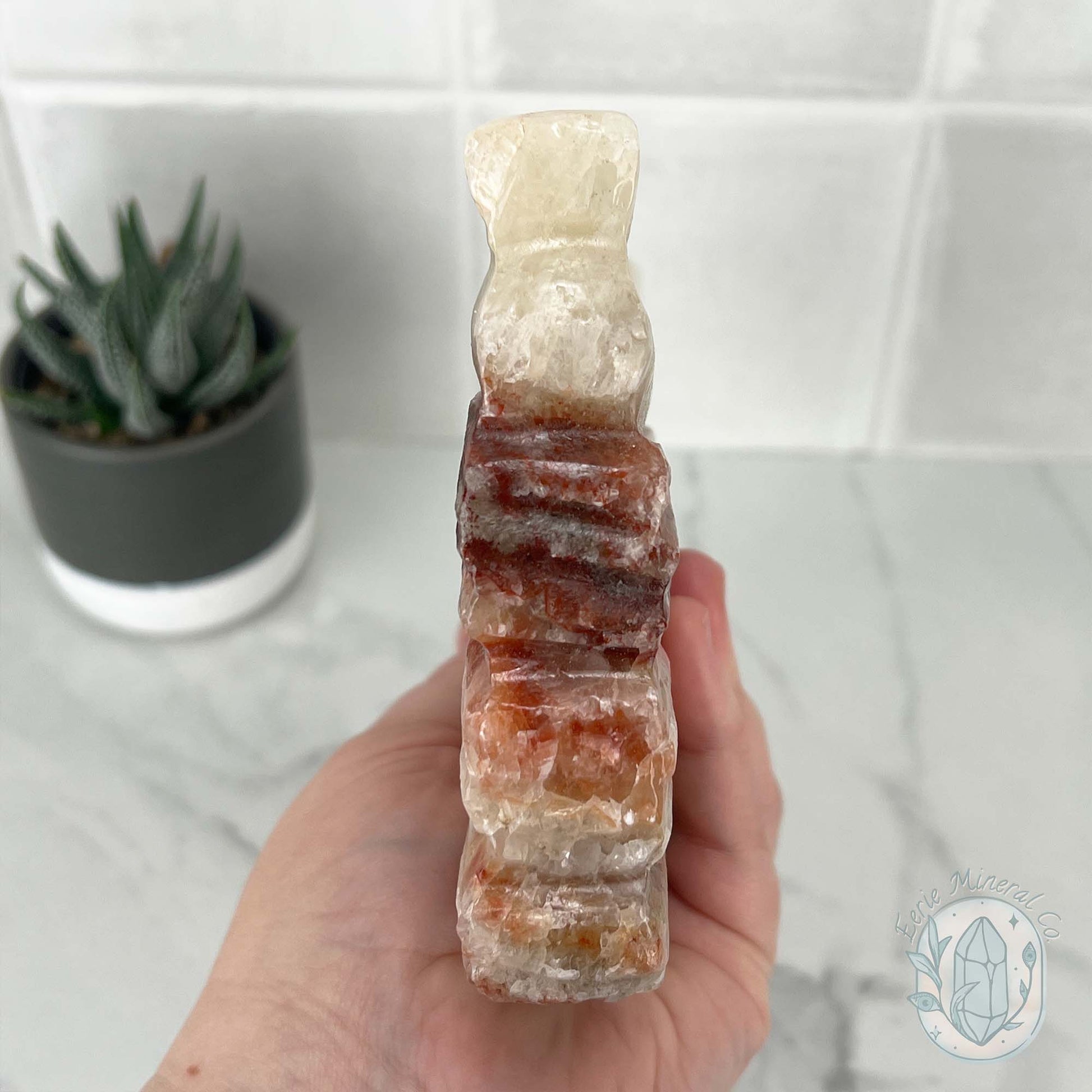 Polished Pork Stone (Red Banded Calcite) Specimen Slab