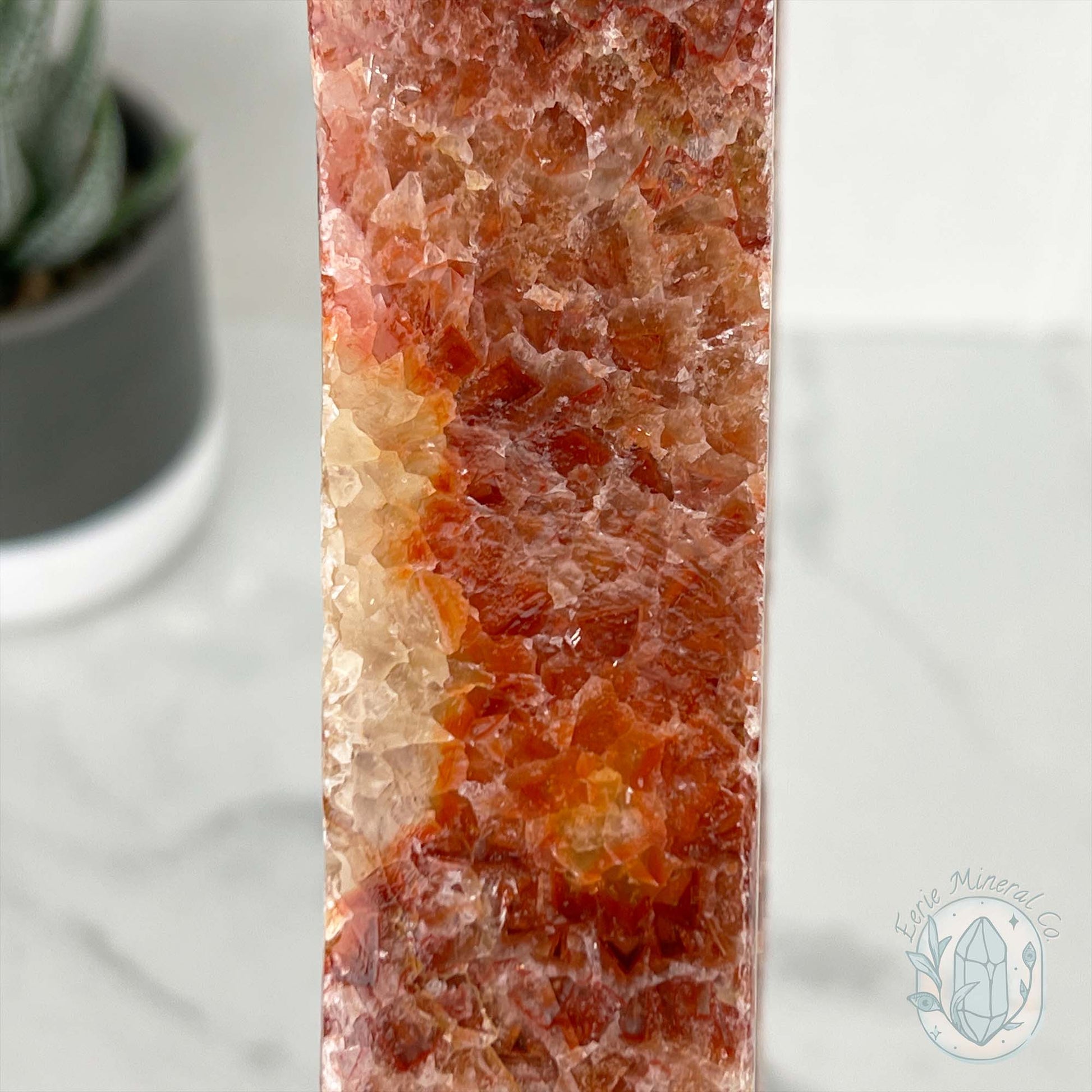 Polished Pork Stone (Red Banded Calcite) Specimen Slab
