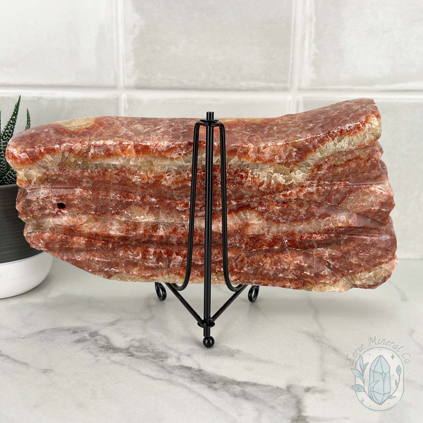 Polished Pork Stone (Red Banded Calcite) Specimen Slab