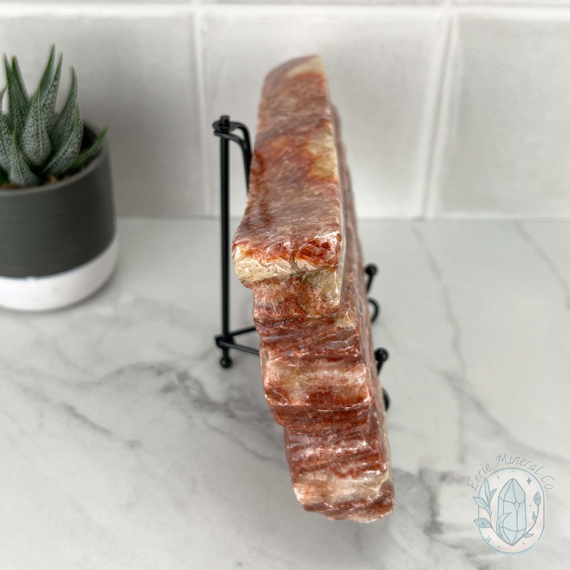 Polished Pork Stone (Red Banded Calcite) Specimen Slab