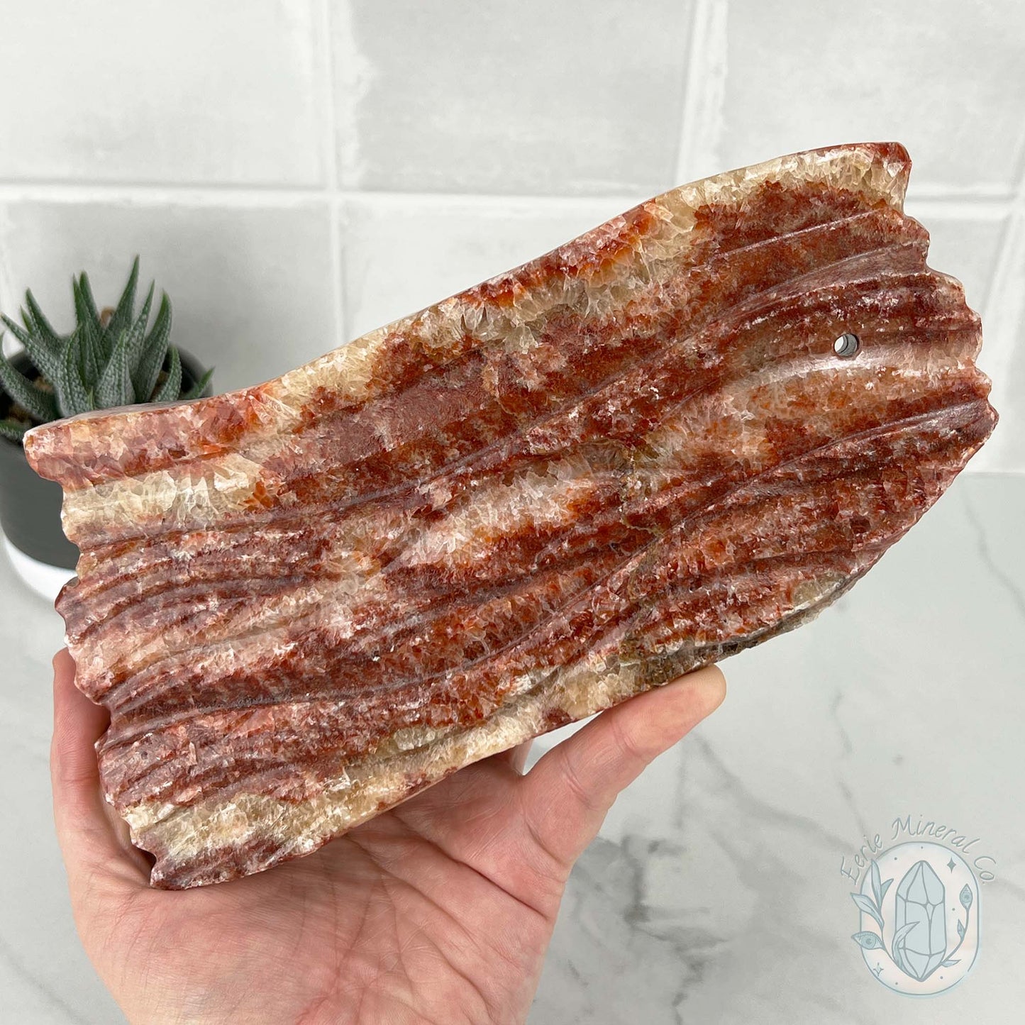 Polished Pork Stone (Red Banded Calcite) Specimen Slab
