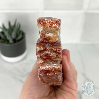 Polished Pork Stone (Red Banded Calcite) Specimen Slab