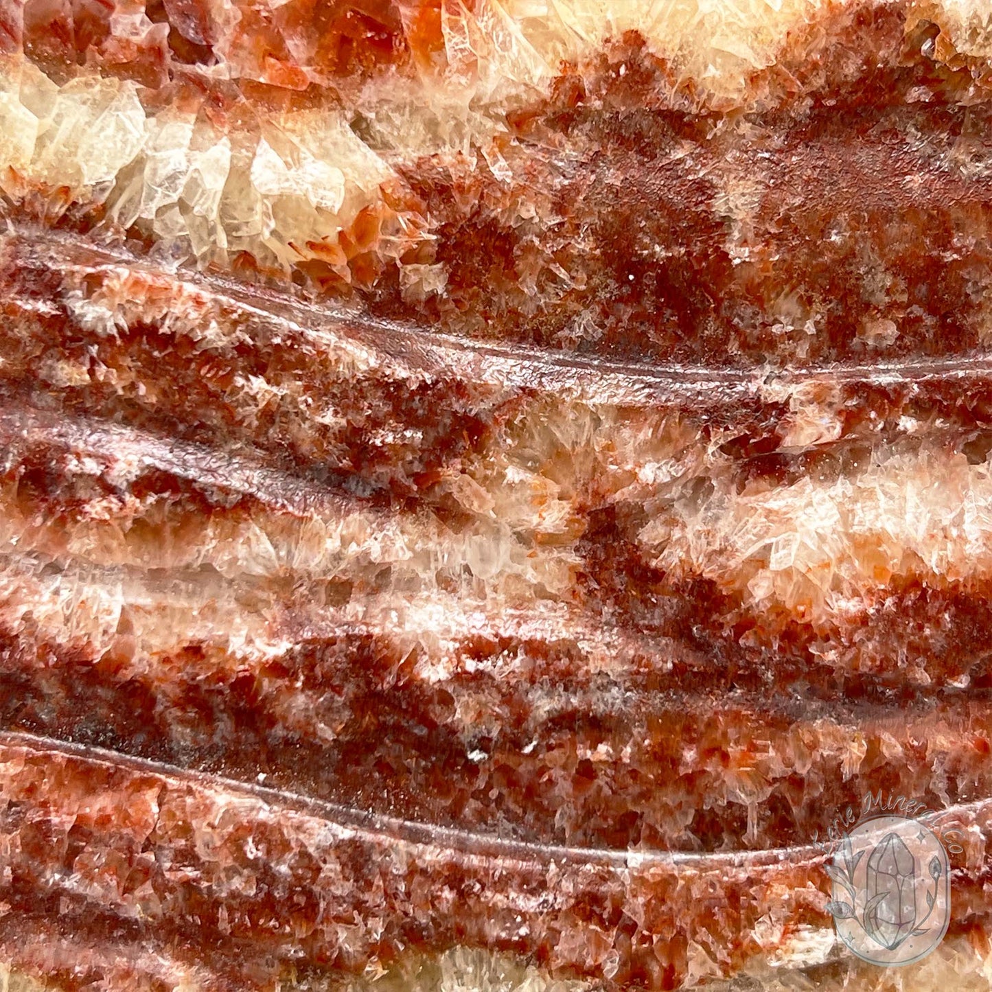 Polished Pork Stone (Red Banded Calcite) Specimen Slab