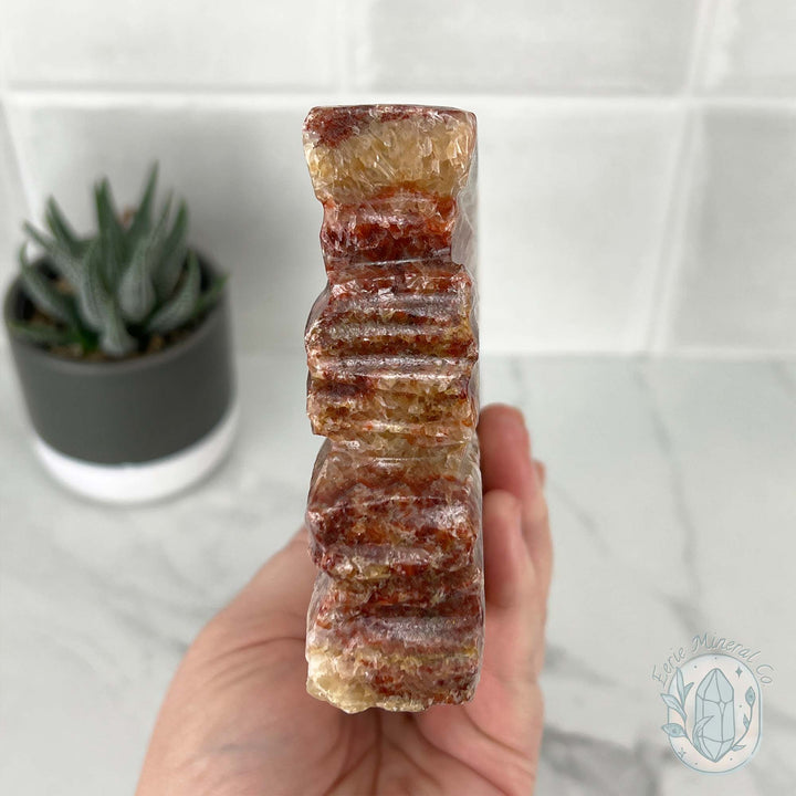 Polished Pork Stone (Red Banded Calcite) Specimen Slab