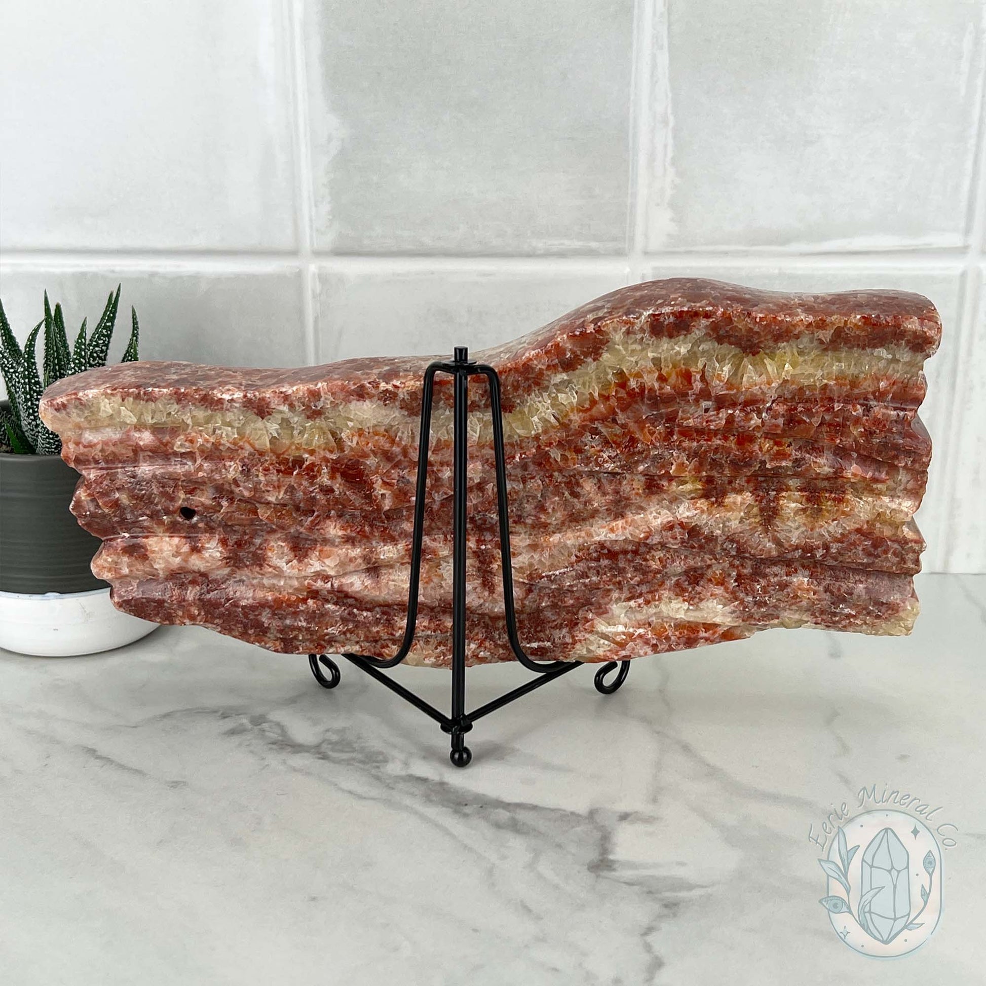 Polished Pork Stone (Red Banded Calcite) Specimen Slab