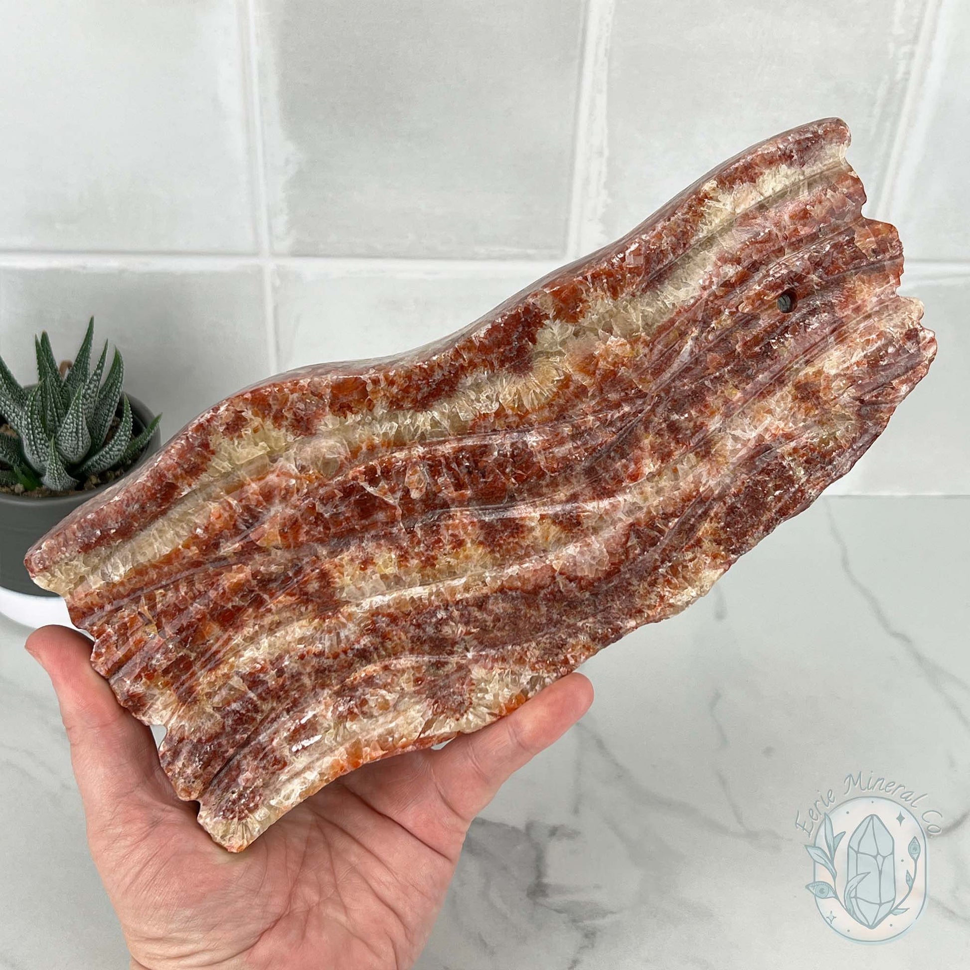 Polished Pork Stone (Red Banded Calcite) Specimen Slab