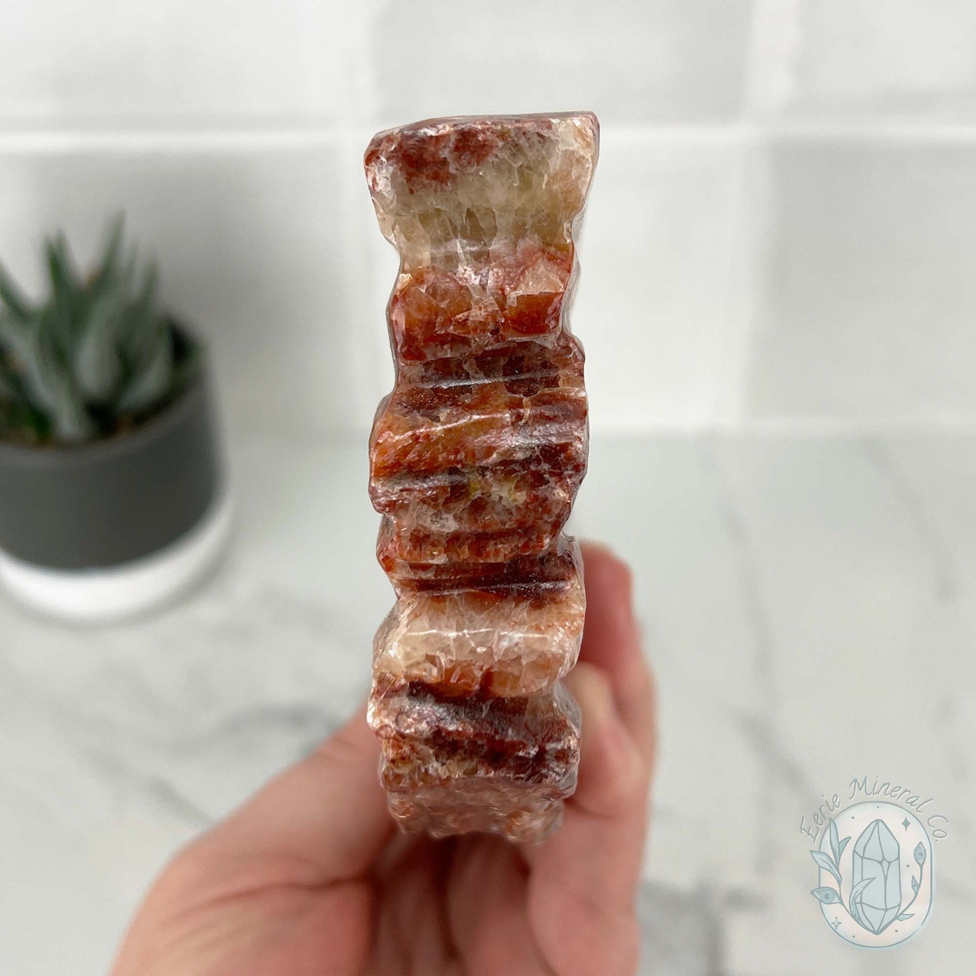 Polished Pork Stone (Red Banded Calcite) Specimen Slab