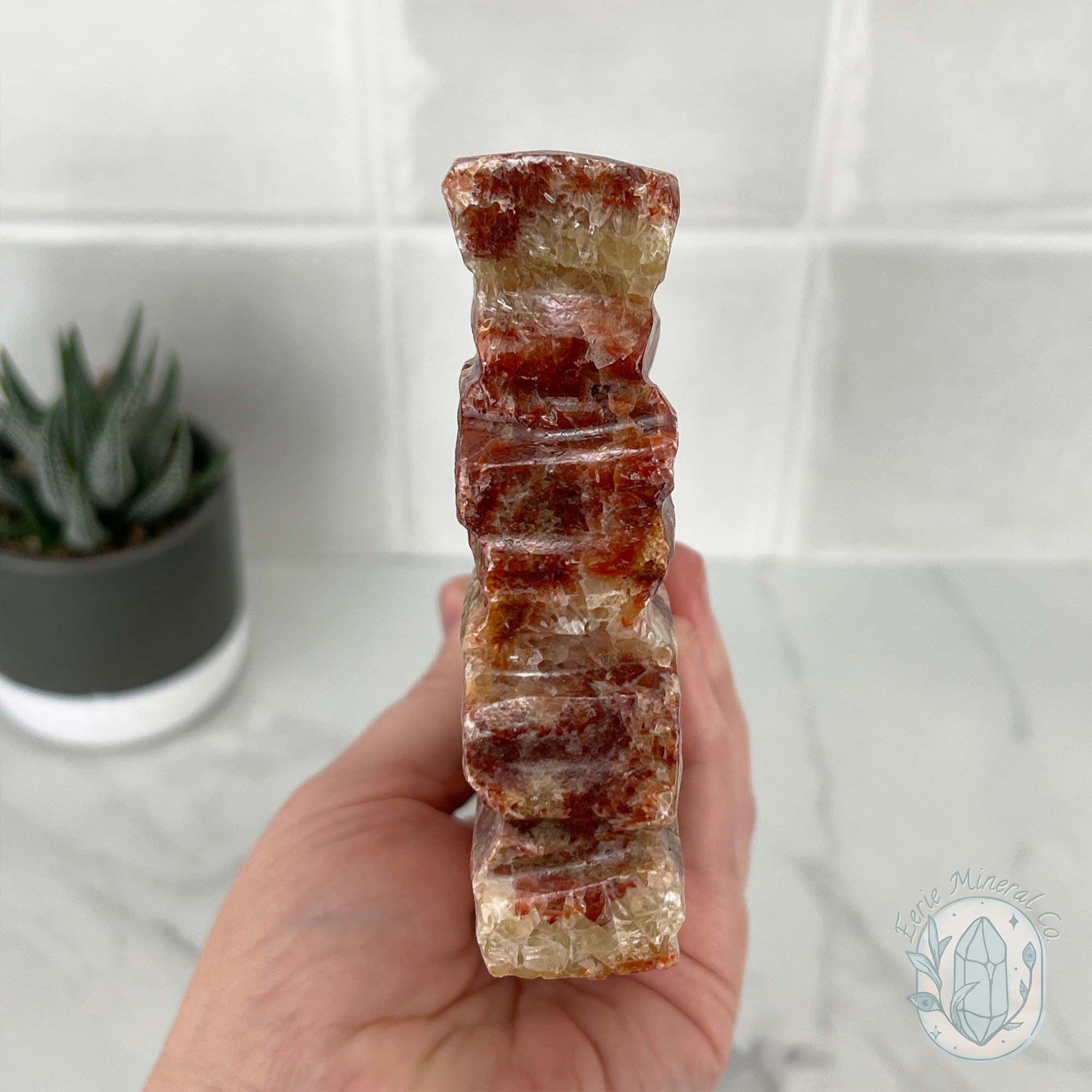 Polished Pork Stone (Red Banded Calcite) Specimen Slab