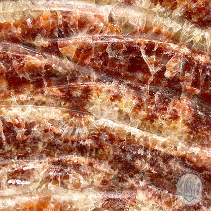 Polished Pork Stone (Red Banded Calcite) Specimen Slab