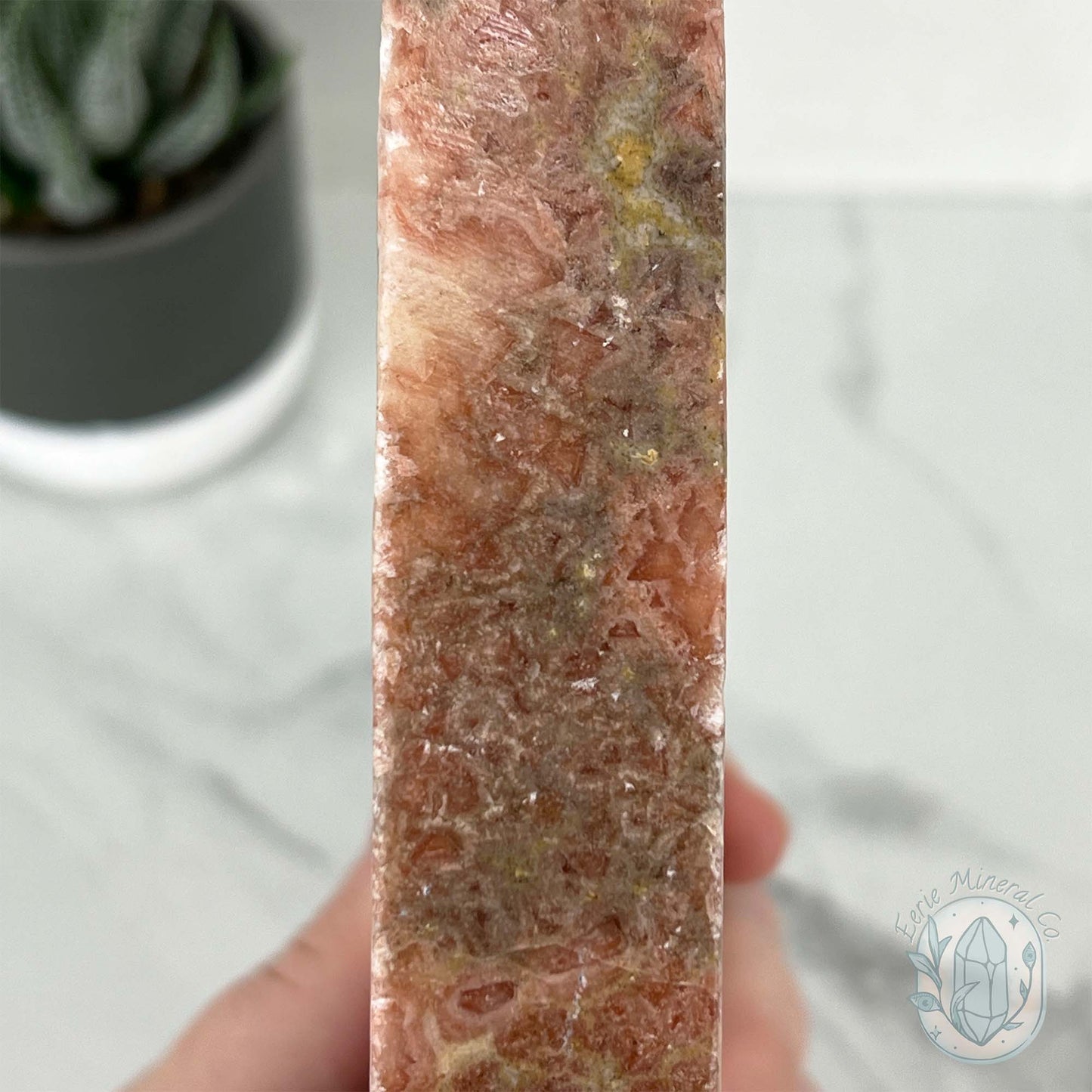 Polished Pork Stone (Red Banded Calcite) Specimen Slab