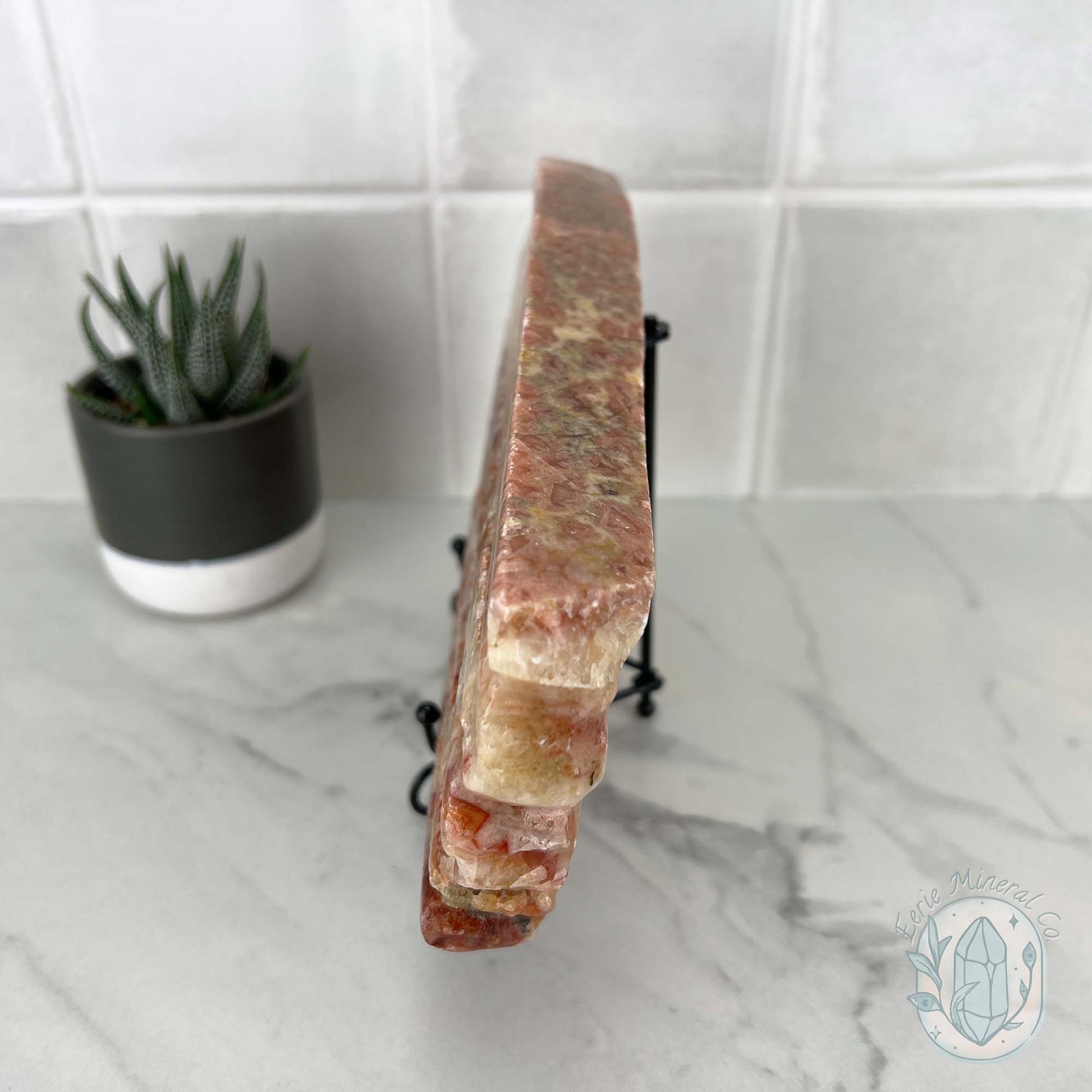 Polished Pork Stone (Red Banded Calcite) Specimen Slab