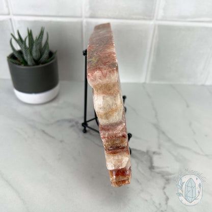Polished Pork Stone (Red Banded Calcite) Specimen Slab