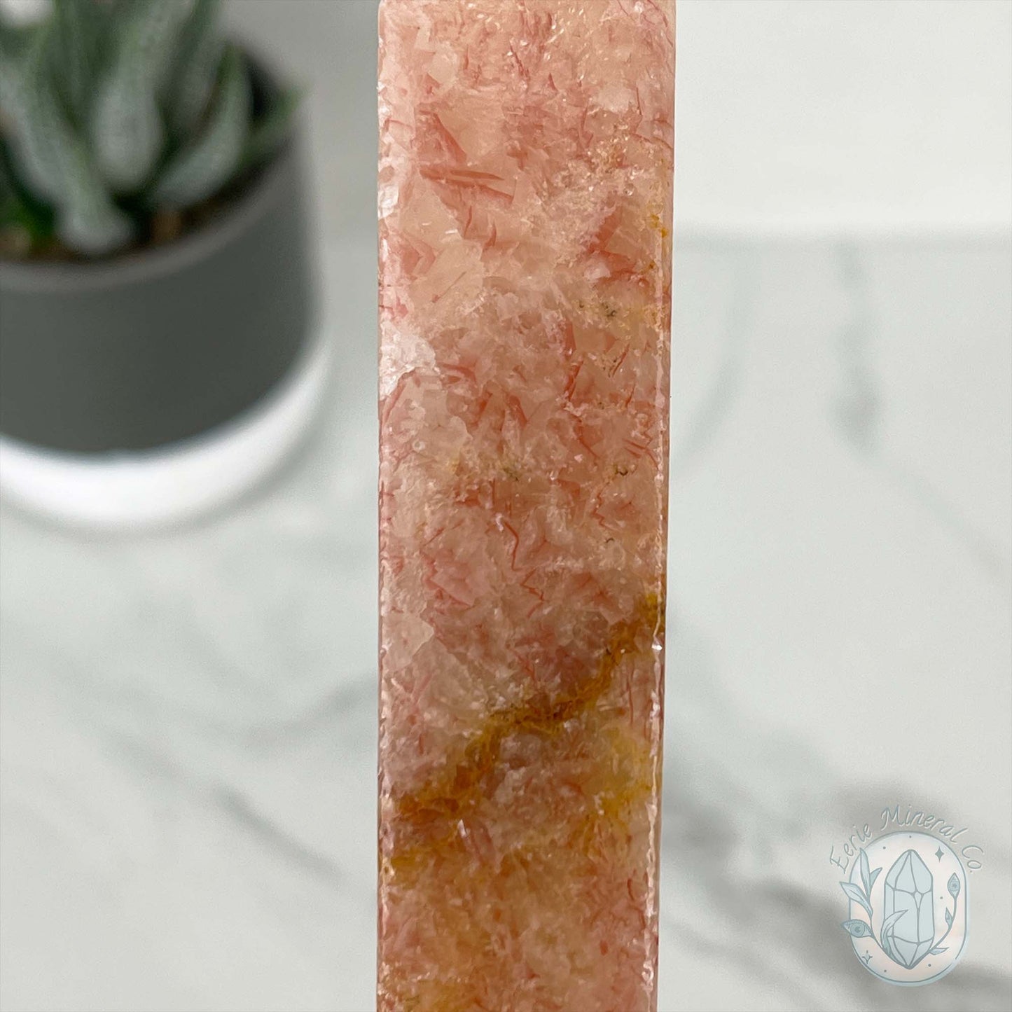 Polished Pork Stone (Red Banded Calcite) Specimen Slab