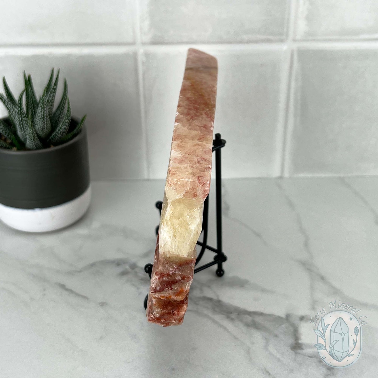 Polished Pork Stone (Red Banded Calcite) Specimen Slab