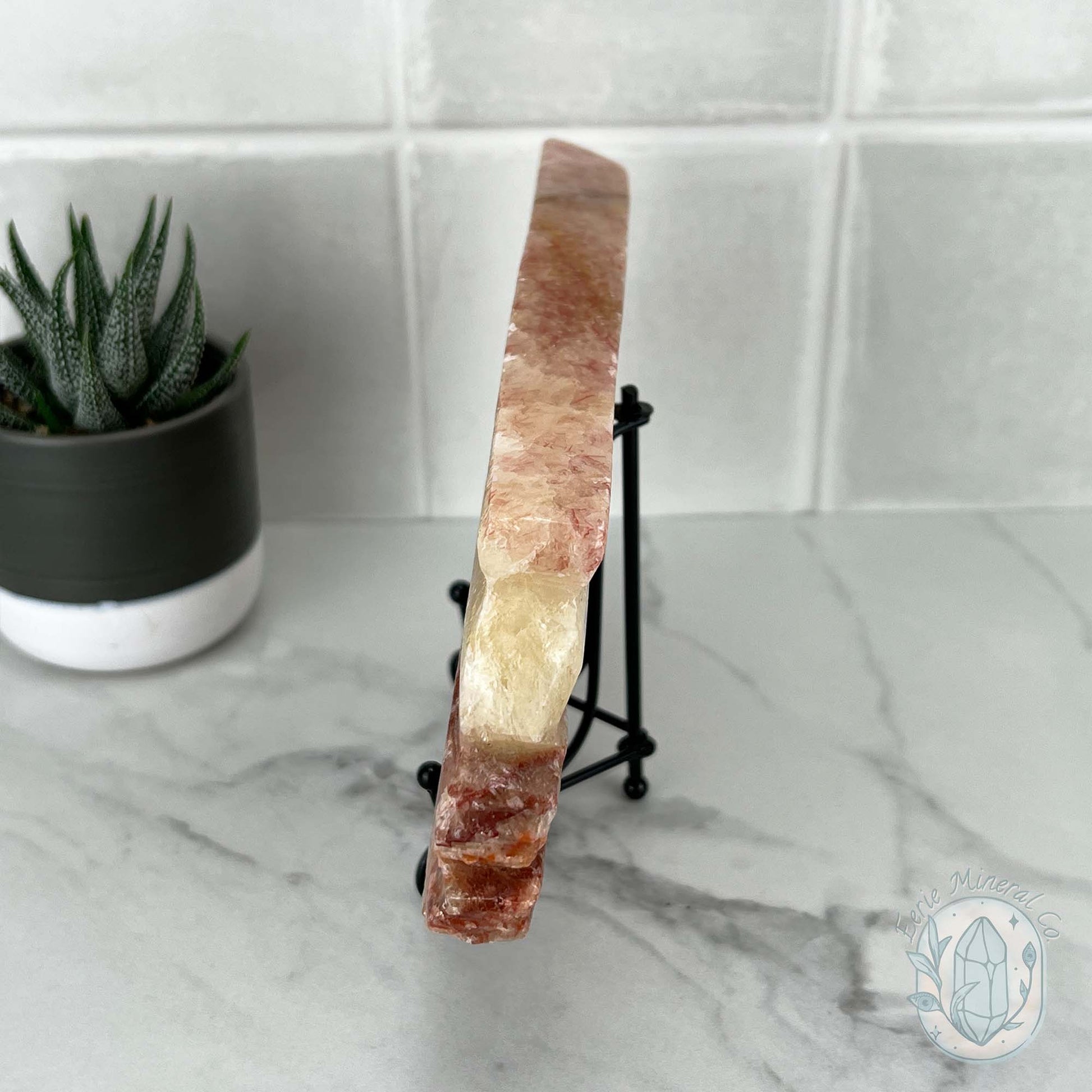 Polished Pork Stone (Red Banded Calcite) Specimen Slab