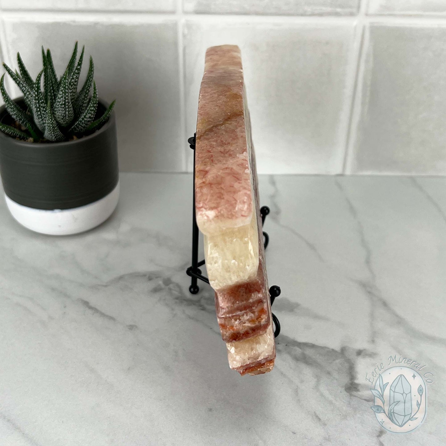 Polished Pork Stone (Red Banded Calcite) Specimen Slab