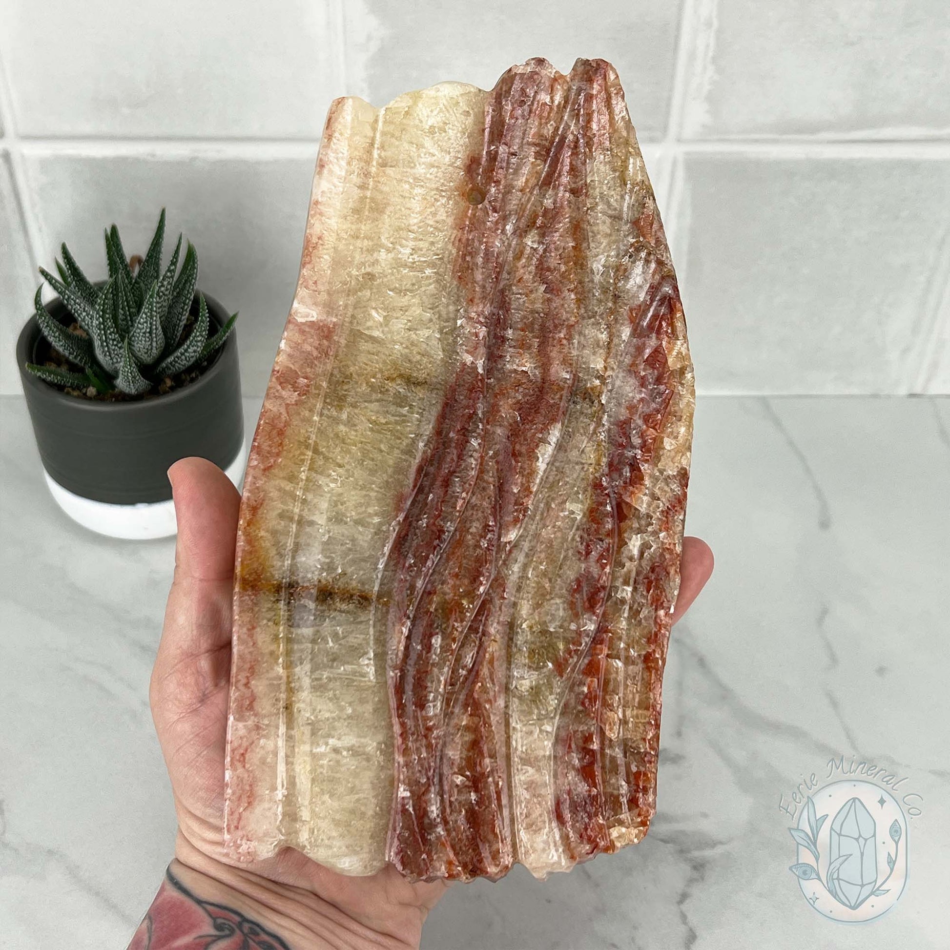 Polished Pork Stone (Red Banded Calcite) Specimen Slab
