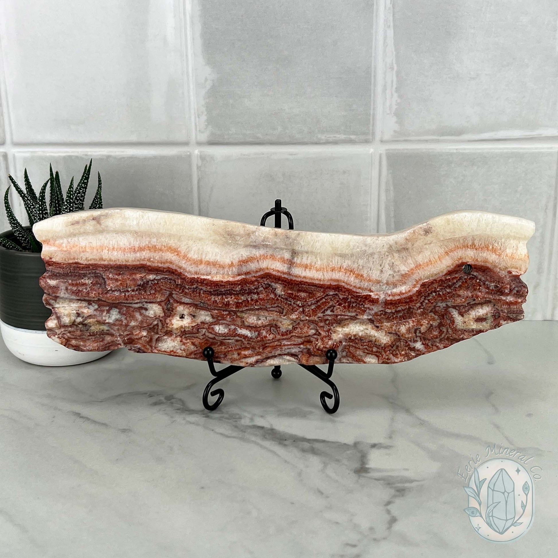 Polished Pork Stone (Red Banded Calcite) Specimen Slab