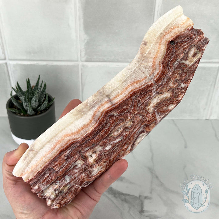 Polished Pork Stone (Red Banded Calcite) Specimen Slab