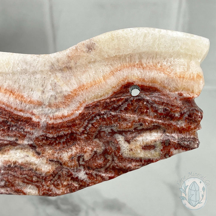 Polished Pork Stone (Red Banded Calcite) Specimen Slab