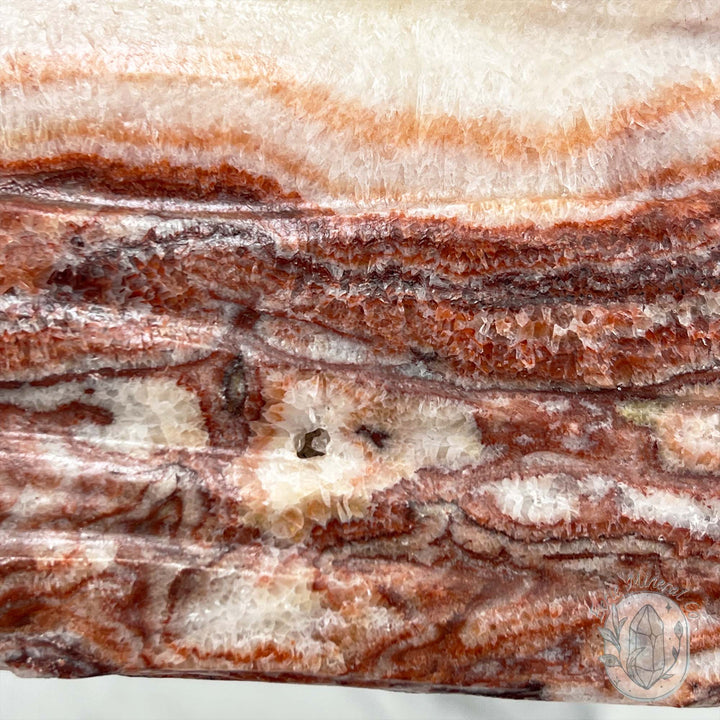 Polished Pork Stone (Red Banded Calcite) Specimen Slab