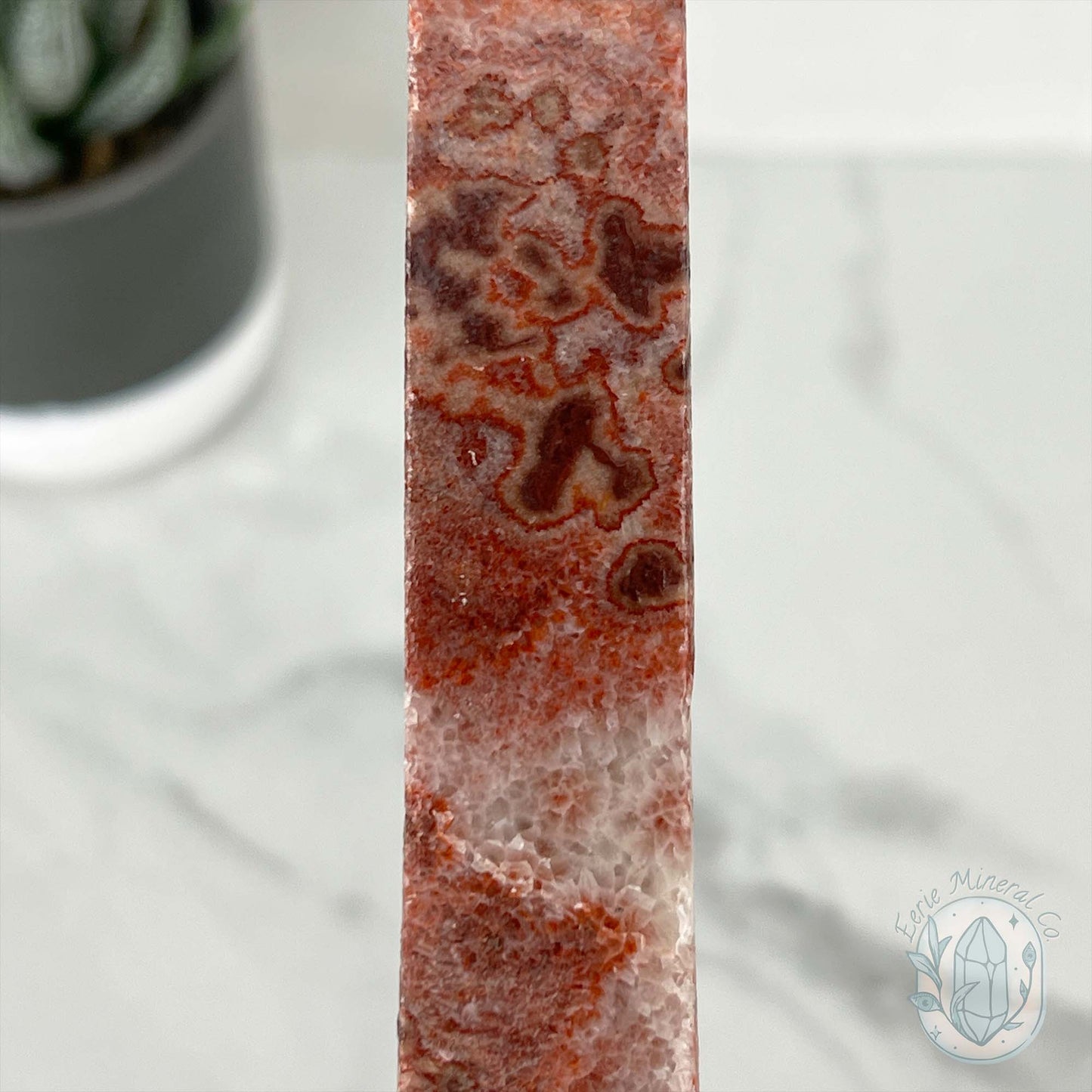 Polished Pork Stone (Red Banded Calcite) Specimen Slab
