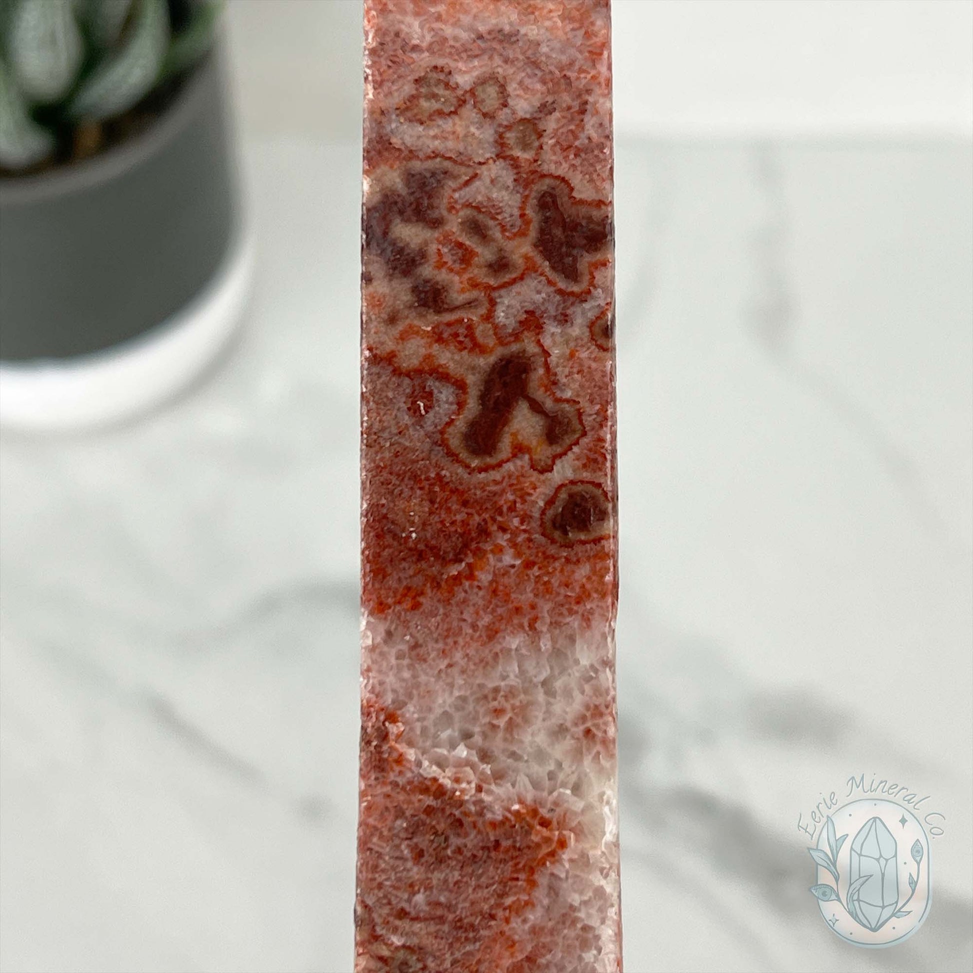 Polished Pork Stone (Red Banded Calcite) Specimen Slab