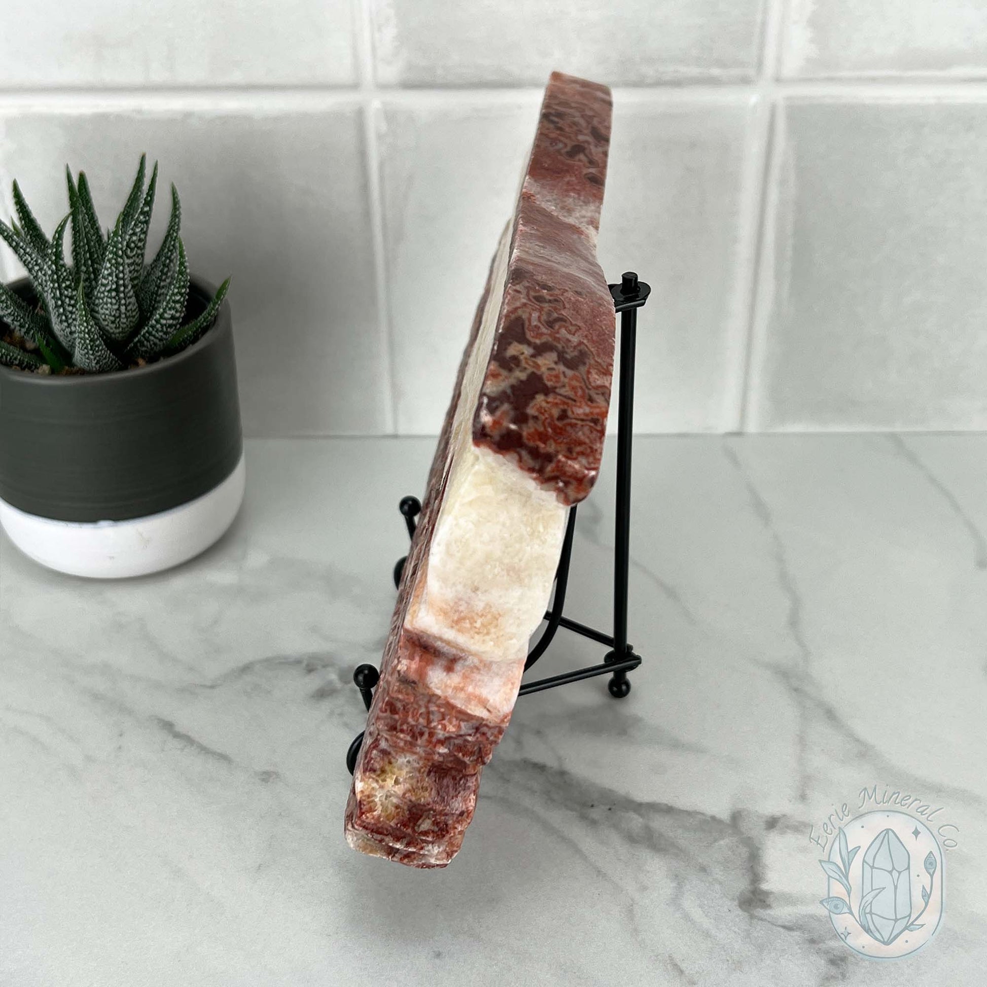 Polished Pork Stone (Red Banded Calcite) Specimen Slab