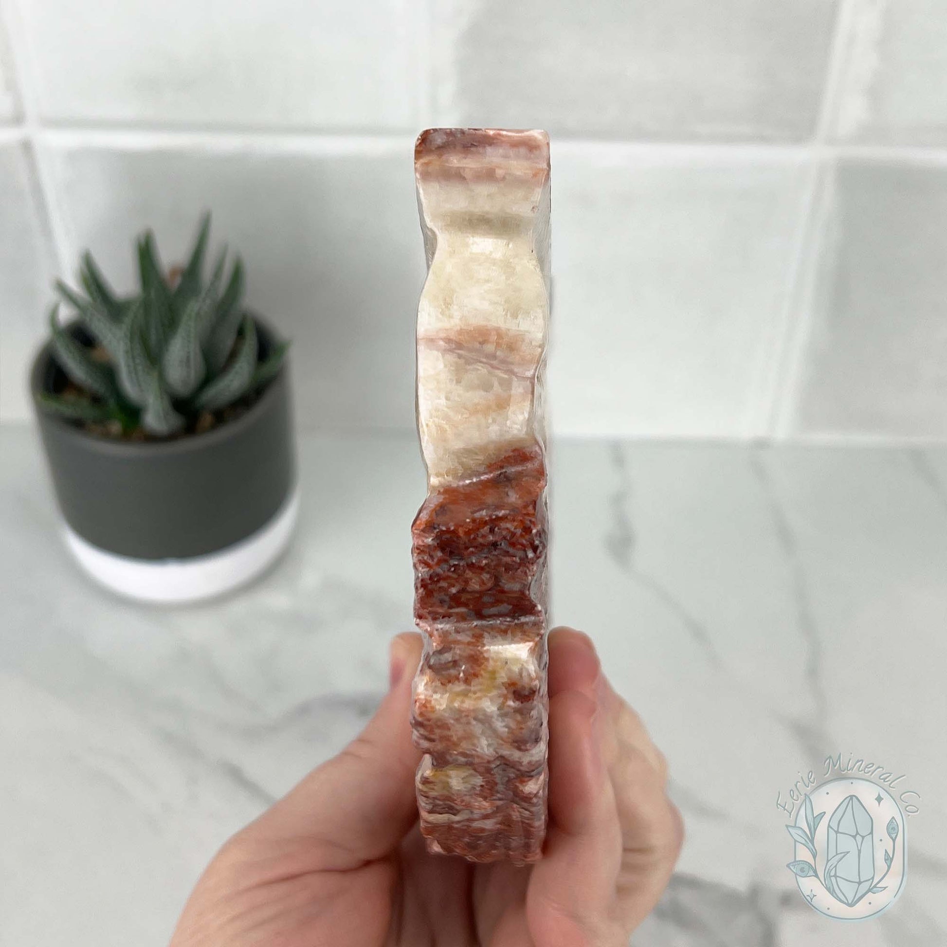 Polished Pork Stone (Red Banded Calcite) Specimen Slab