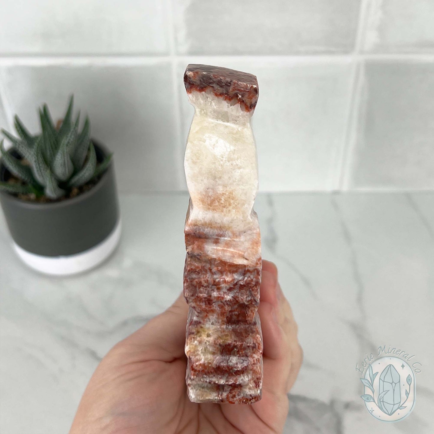Polished Pork Stone (Red Banded Calcite) Specimen Slab