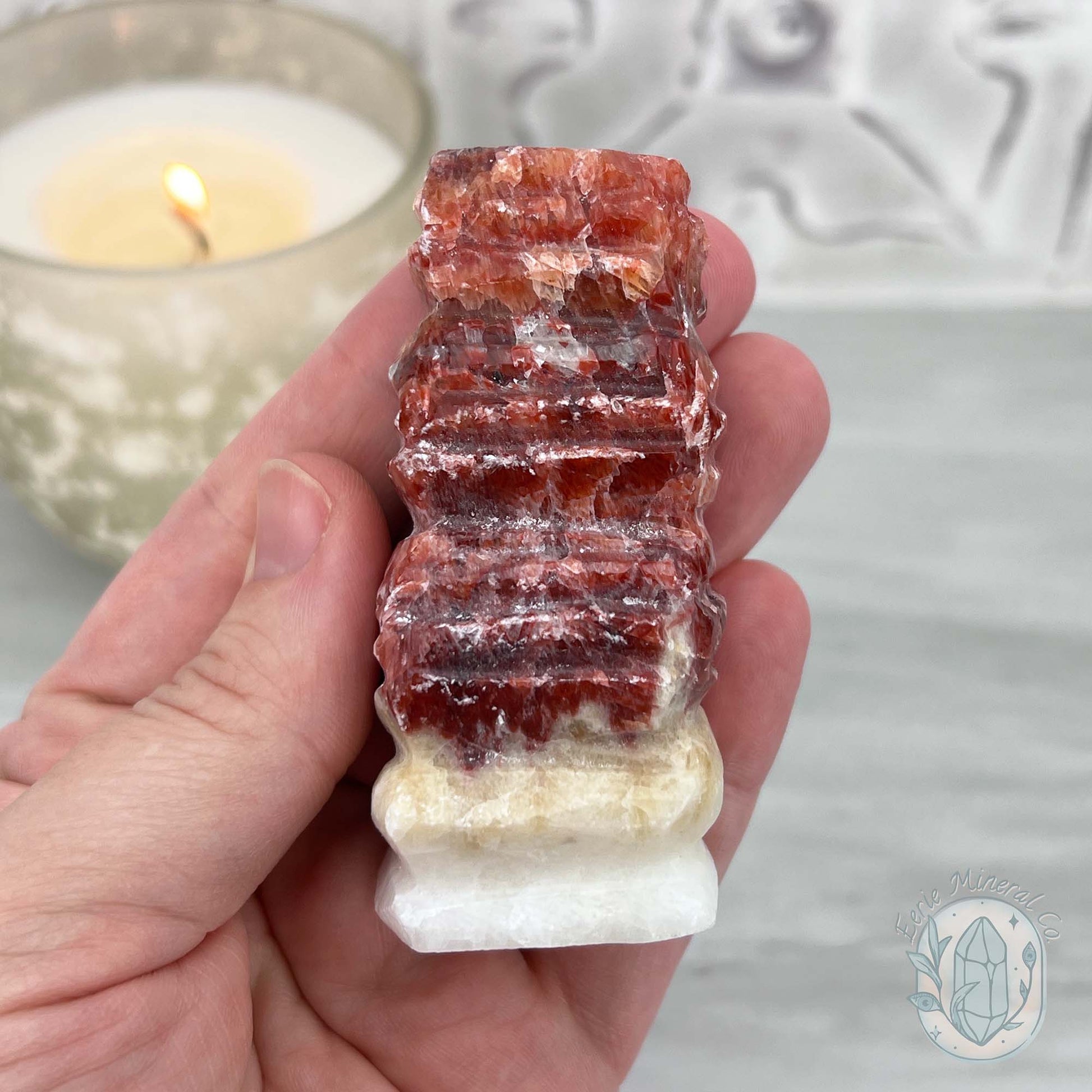Pork Stone, Bacon Stone Slice Specimen