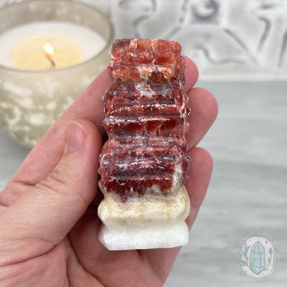 Pork Stone, Bacon Stone Slice Specimen