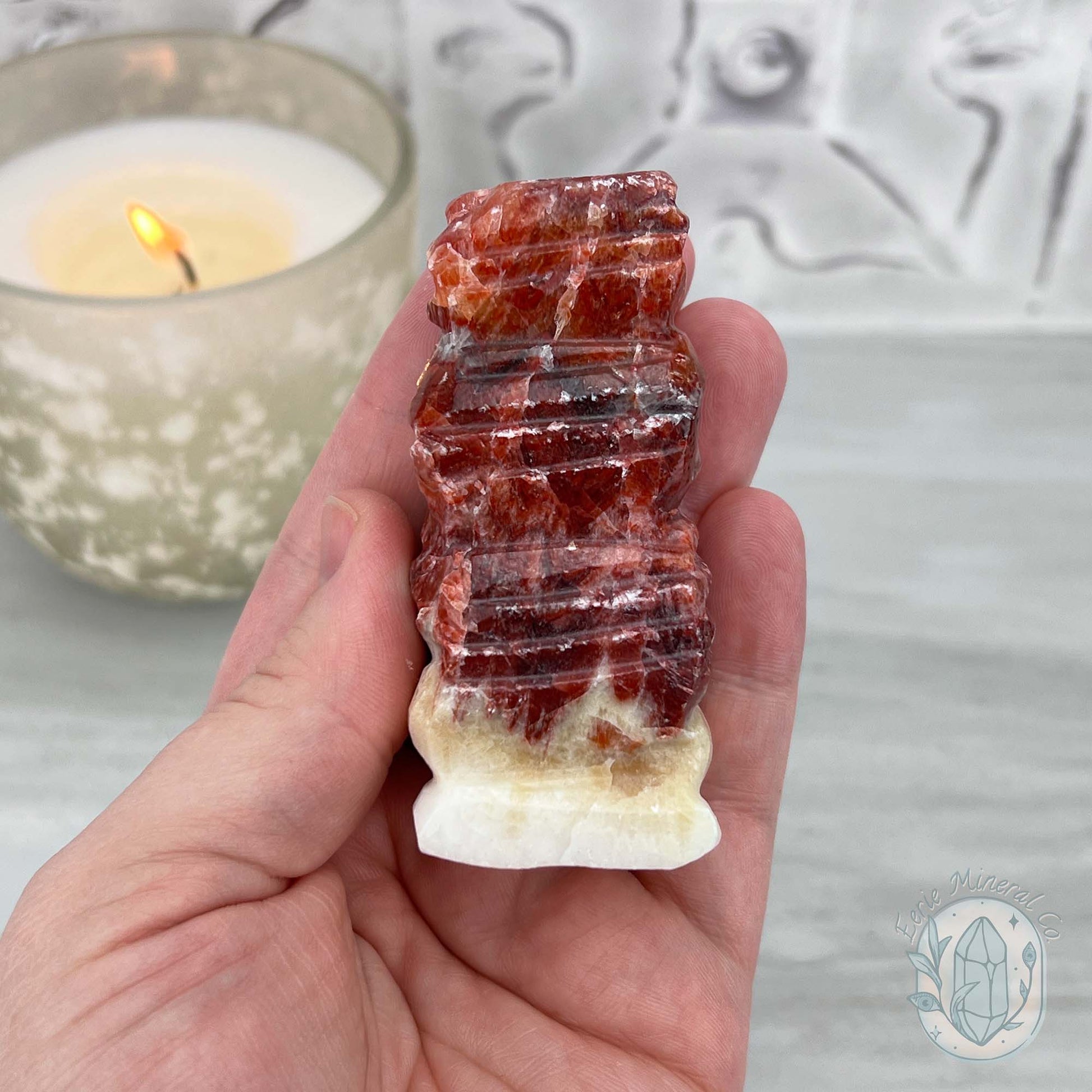 Pork Stone, Bacon Stone Slice Specimen