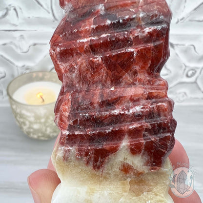 Pork Stone, Bacon Stone Slice Specimen