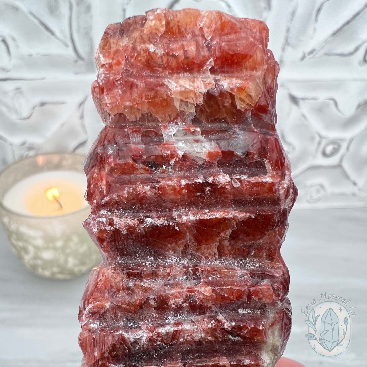 Pork Stone, Bacon Stone Slice Specimen