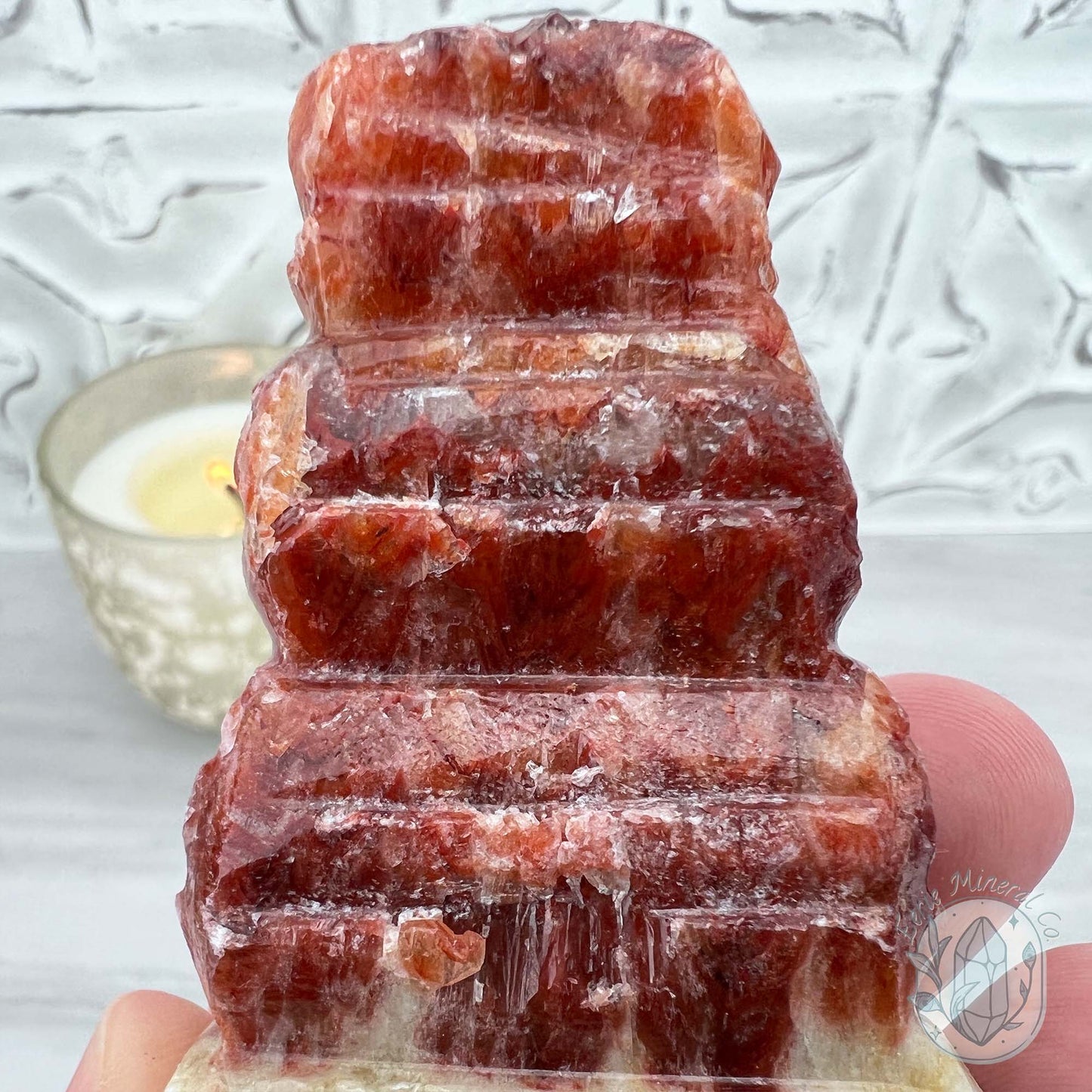 Pork Stone, Bacon Stone Slice Specimen